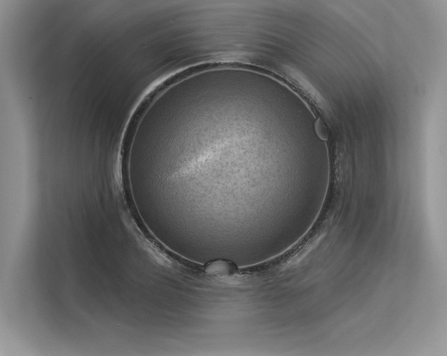 X0000113340932200909221120