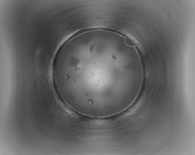 X0000113340933200909221120