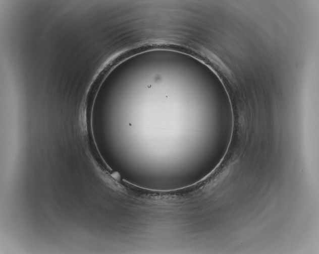 X0000113340934200909221120