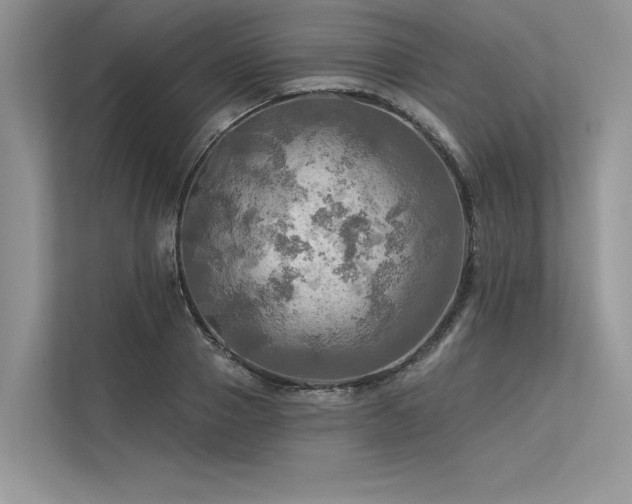 X0000113340937200909221121