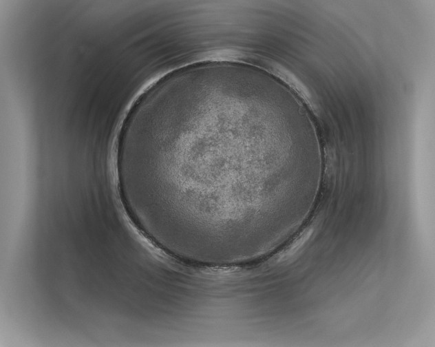 X0000113340939200909221121