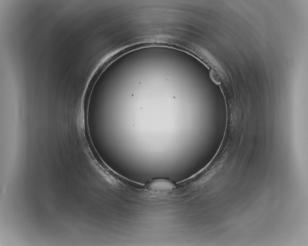 X0000113340940200909221121