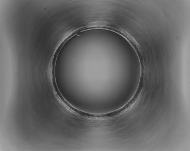 X0000113340941200909221121