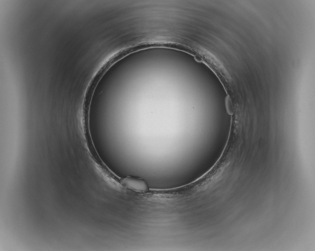 X0000113340942200909221121