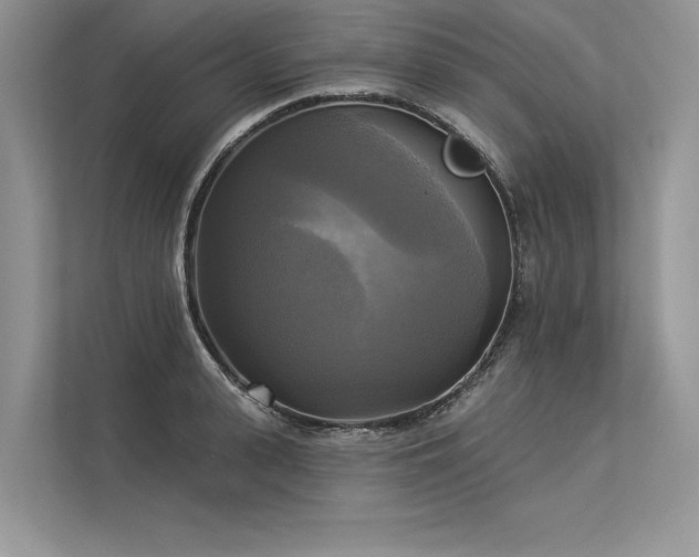 X0000113340943200909221121