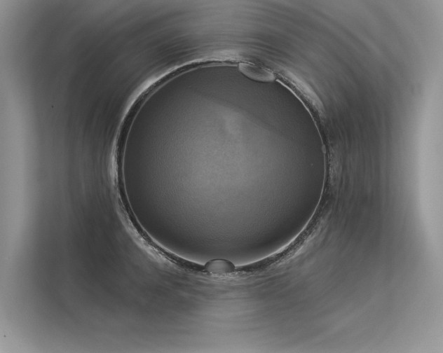 X0000113340944200909221121