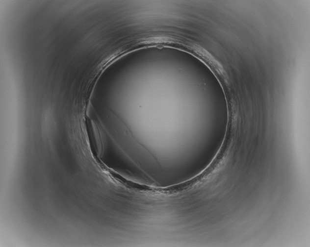 X0000113340945200909221121