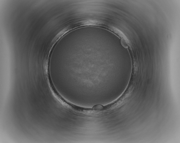 X0000113340946200909221121