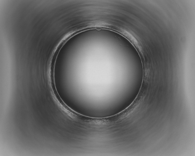 X0000113340947200909221121