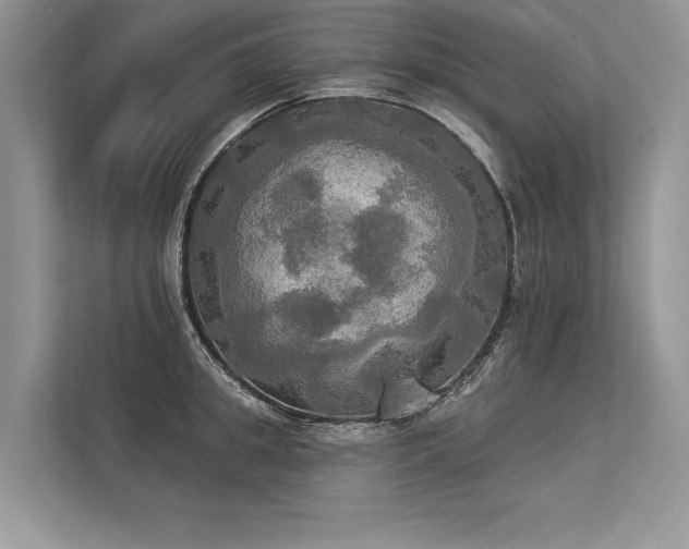 X0000113340949200909221121