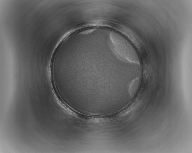 X0000113340950200909221121