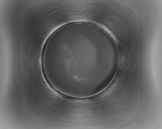 X0000113340951200909221121