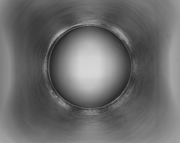 X0000113340952200909221121