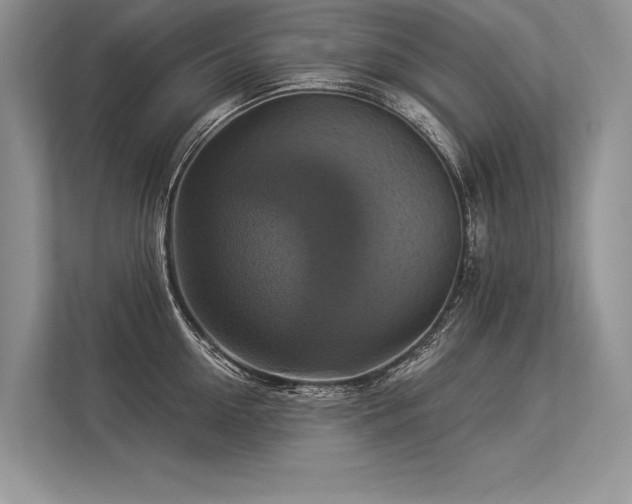 X0000113340954200909221121