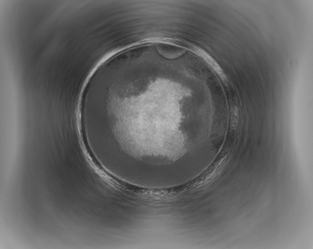 X0000113340955200909221121