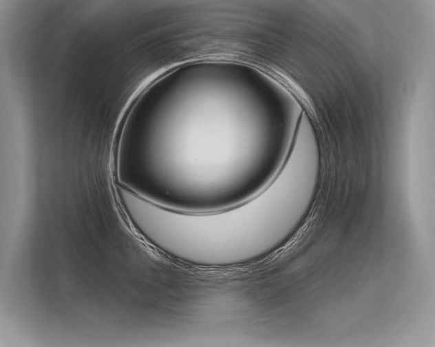 X0000113340956200909221121