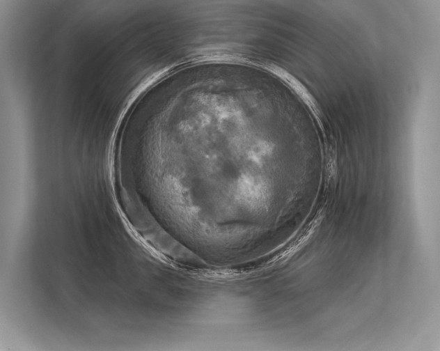 X0000113340957200909221121