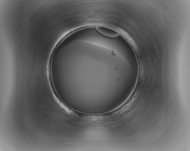 X0000113340958200909221121