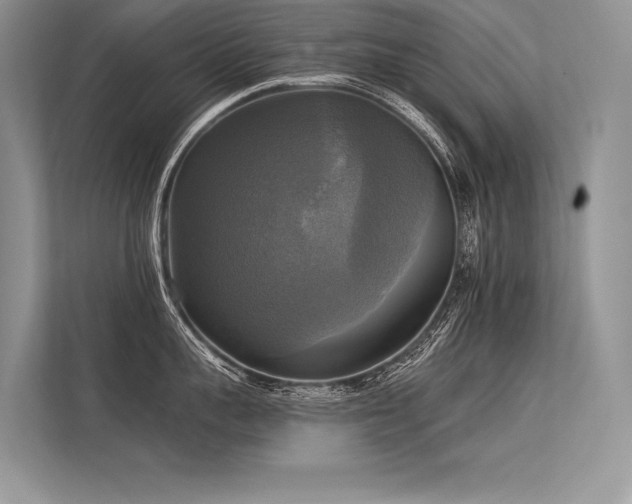 X0000113340959200909221121