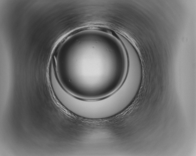 X0000113340960200909221121