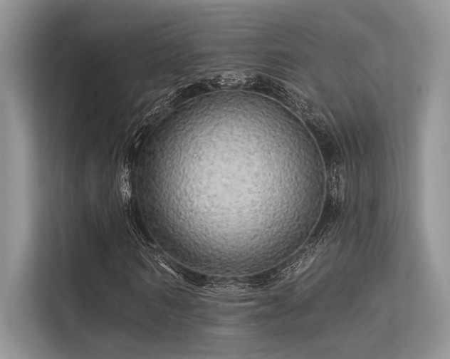 X0000113340962200909221120