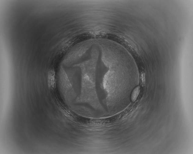 X0000113340963200909221120