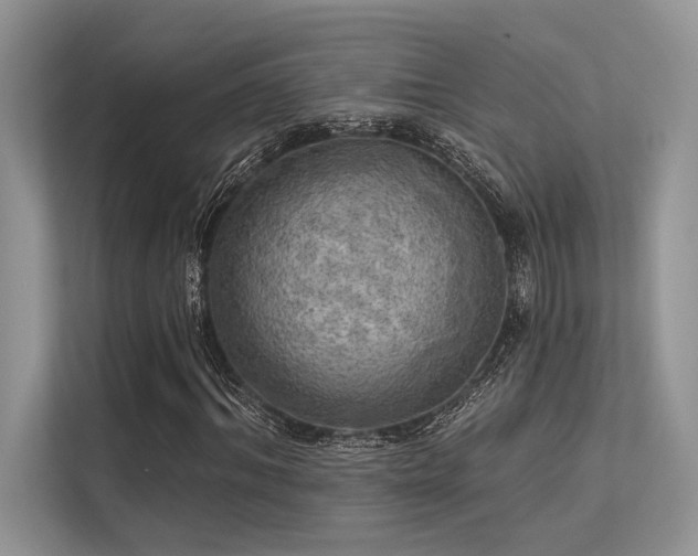 X0000113340964200909221120