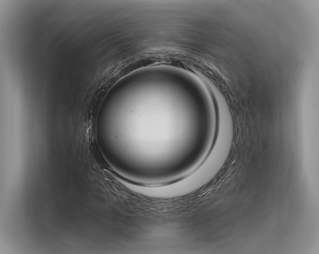 X0000113340965200909221120