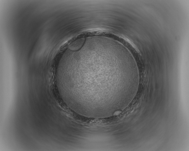 X0000113340967200909221120