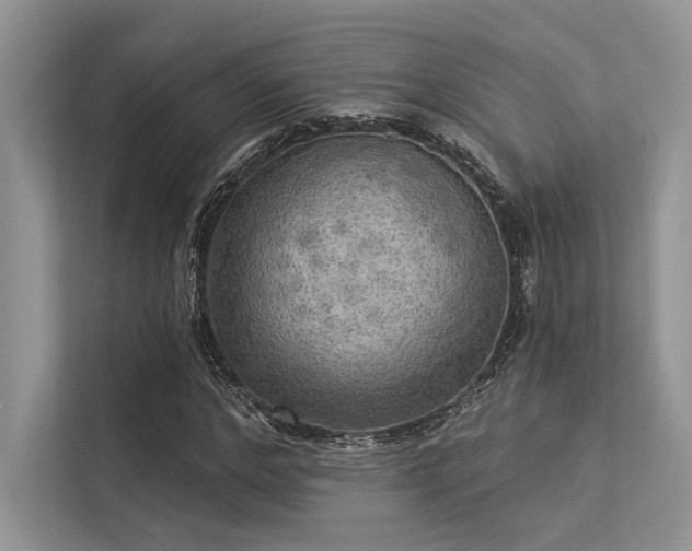 X0000113340968200909221120