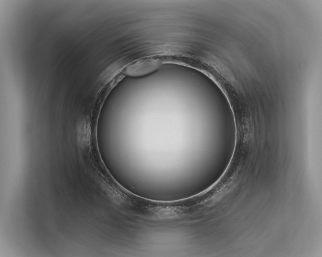 X0000113340969200909221120