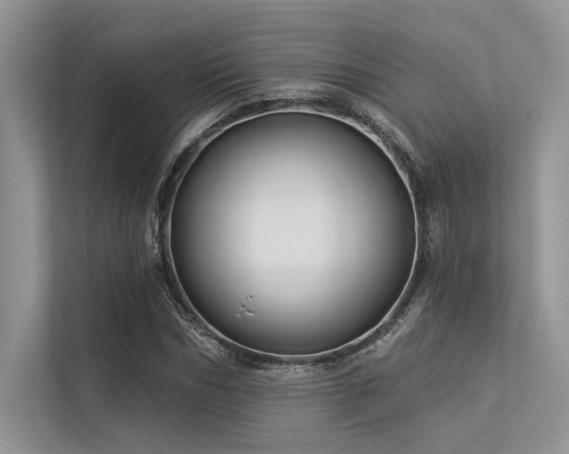 X0000113340970200909221120