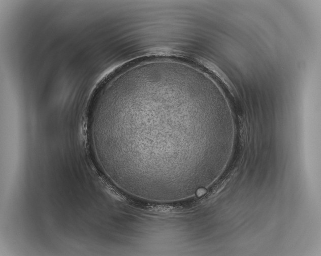 X0000113340971200909221120