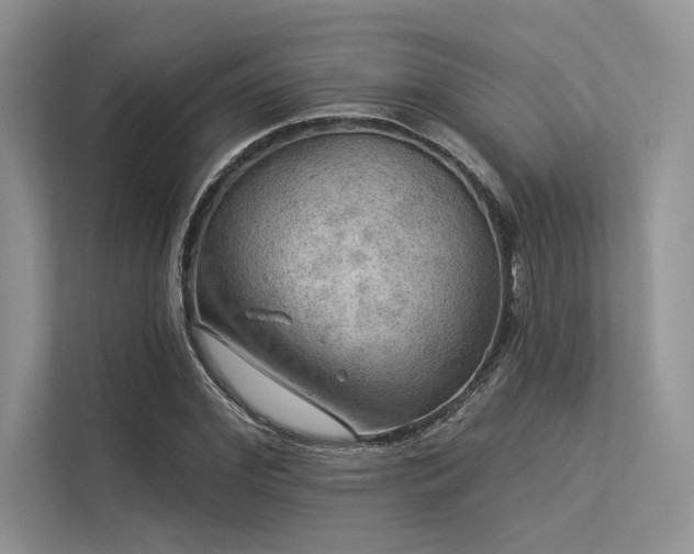 X0000113340972200909221120