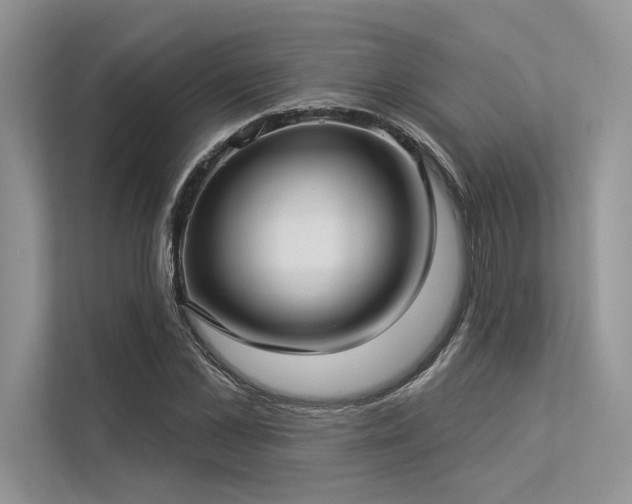 X0000113340973200909221120