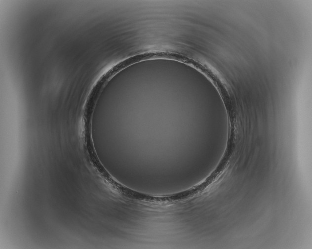 X0000113340975200909221120