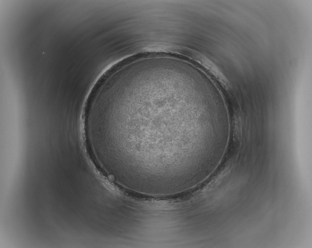 X0000113340976200909221120