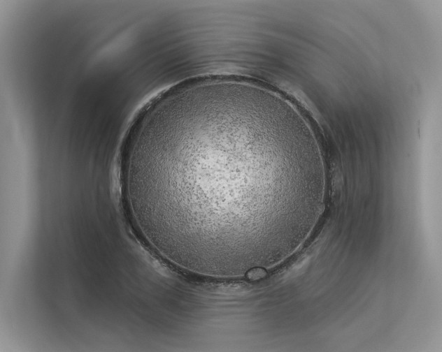 X0000113340979200909221120