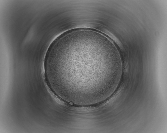 X0000113340980200909221120