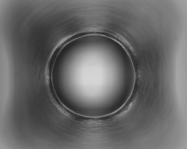 X0000113340981200909221120