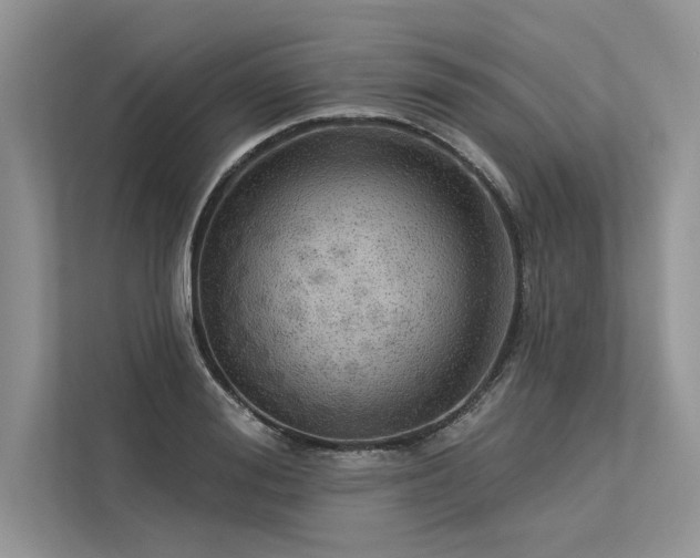 X0000113340988200909221120