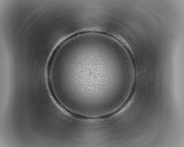 X0000113340989200909221120