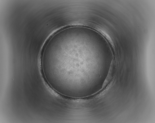 X0000113340992200909221120