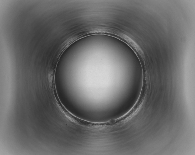 X0000113340993200909221120