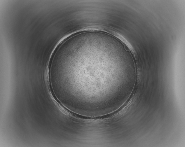 X0000113340996200909221120