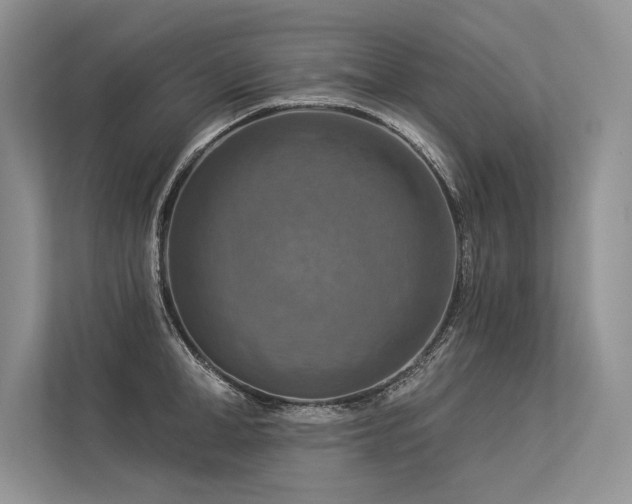 X0000113340998200909221120