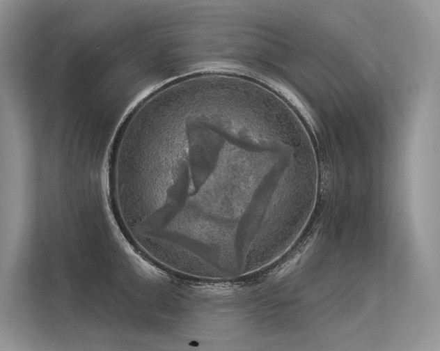 X0000113340999200909221120