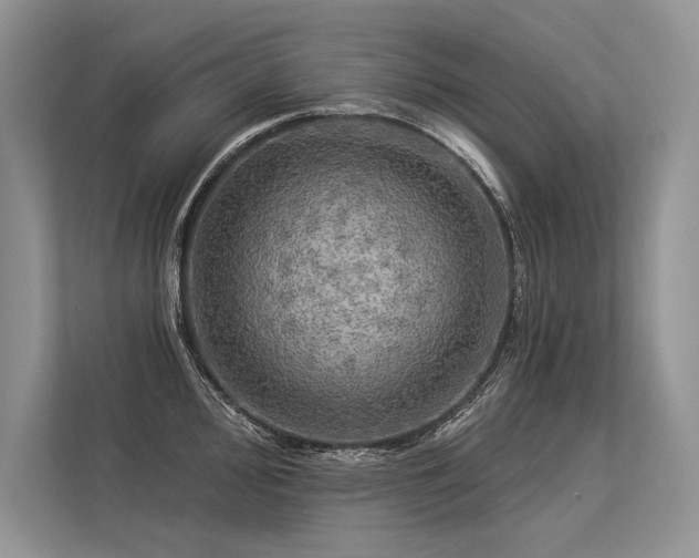 X0000113341000200909221120