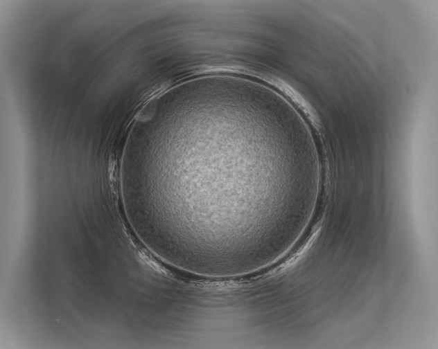 X0000113341001200909221119