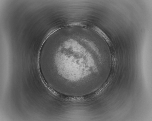 X0000113341002200909221119